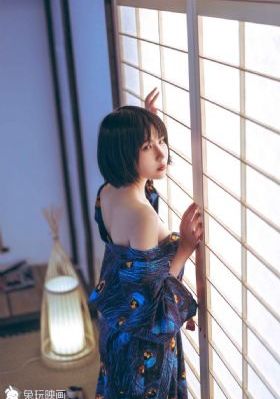 大清官电视剧全集免费观看