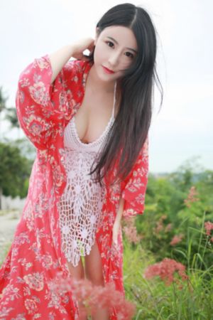 古代王者恐龙王